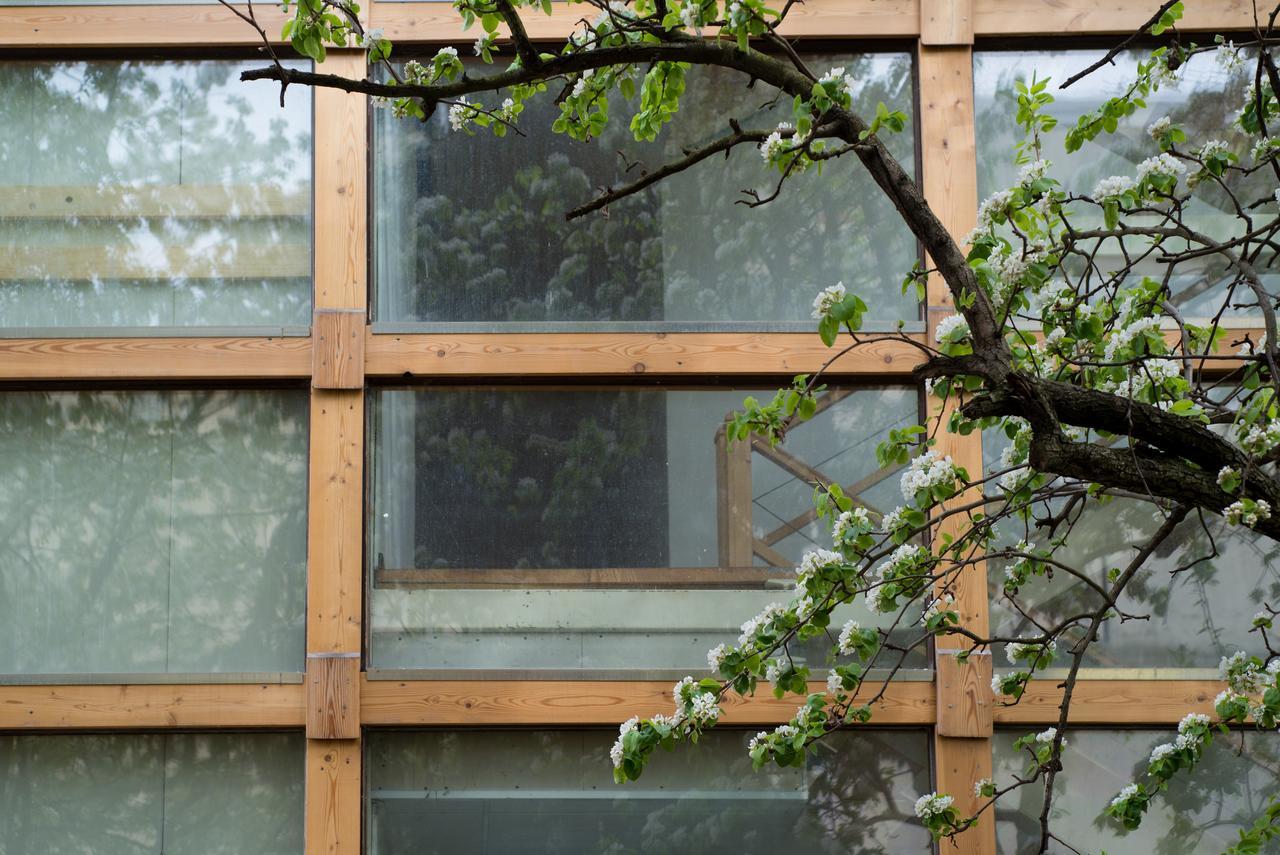 מריבור Residence Meljska מראה חיצוני תמונה