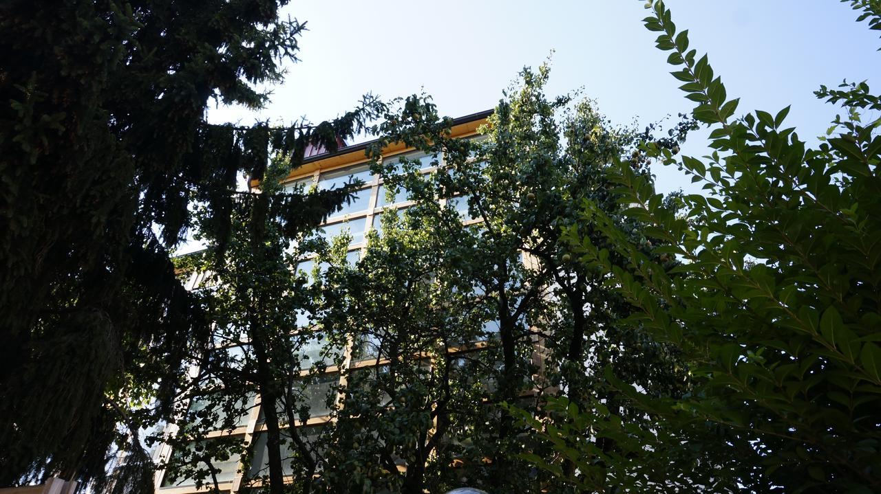 מריבור Residence Meljska מראה חיצוני תמונה